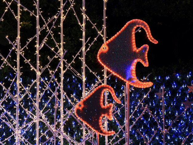 Обои картинки фото разное