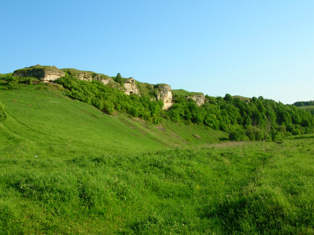 Обои картинки фото природа