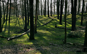 Картинка природа