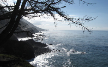 Картинка природа