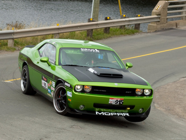 Обои картинки фото dodge, challenger, targa, автомобили