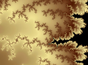 Картинка 3д графика fractal фракталы фрактал фон узор