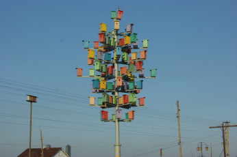 Картинка птицы тоже предпочитают жить мегаполисах юмор приколы небо скворечники столбы провода