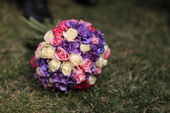 Обои картинки фото цветы, букеты, композиции, гортензия, розы