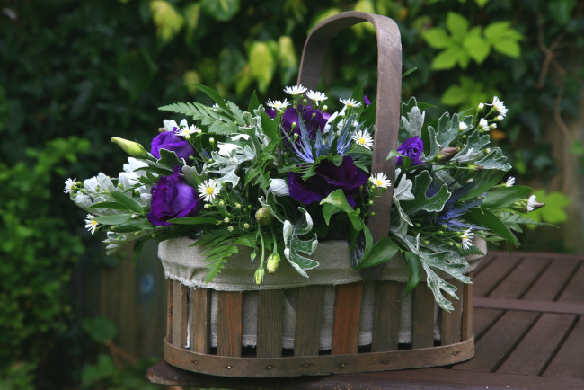 Обои картинки фото цветы, букеты, композиции, корзинка, эустома, ромашки