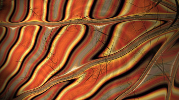 Картинка 3д+графика абстракция+ abstract цвета фон узор