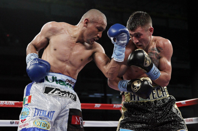 Обои картинки фото василий ломаченко, спорт, бокс, ломаченко, василий, чемпион