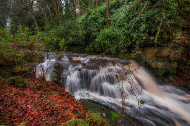Обои картинки фото природа, водопады, лес, река, водопад