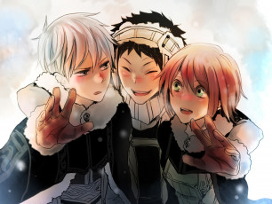 Картинка аниме akagami+no+shirayukihime друзья