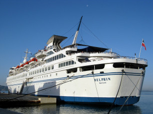 Картинка delphin корабли лайнеры лайнер круиз