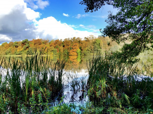 Картинка природа реки озера простор