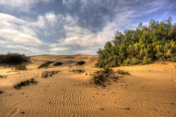 Картинка природа пейзажи простор