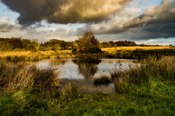 Картинка природа реки озера простор