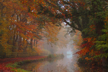 Картинка природа реки озера простор