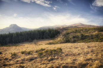 Картинка природа пейзажи простор