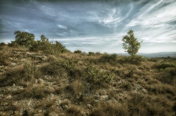 Картинка природа пейзажи простор