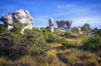 Картинка природа пейзажи простор