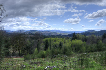 Картинка природа пейзажи простор