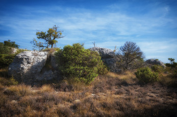 Картинка природа пустыни простор