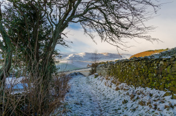 Картинка природа дороги простор