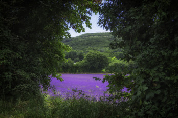 Картинка природа пейзажи простор