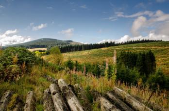 Картинка природа пейзажи простор