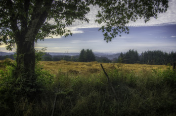 Картинка природа пейзажи простор