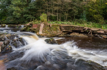 Картинка природа реки озера простор