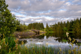 Картинка природа реки озера простор