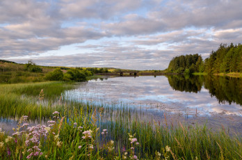 Картинка природа реки озера простор