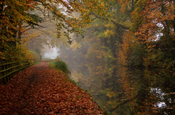 Картинка природа реки озера простор