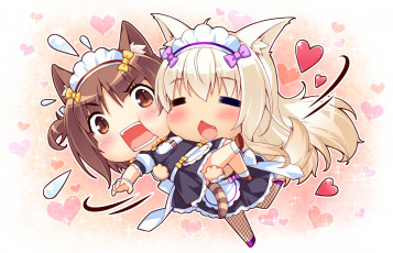 Картинка аниме nekopara нэкопара