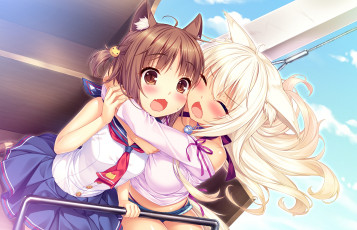 Картинка аниме nekopara нэкопара