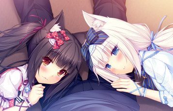 Картинка аниме nekopara нэкопара