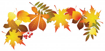 Картинка векторная+графика природа+ nature ягоды фон листья