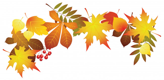 Обои картинки фото векторная графика, природа , nature, ягоды, фон, листья