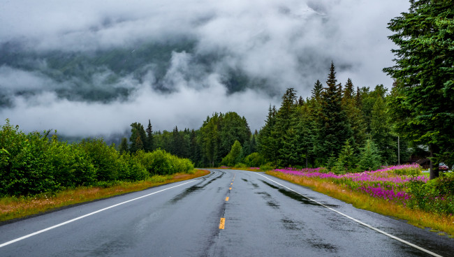 Обои картинки фото природа, дороги, простор