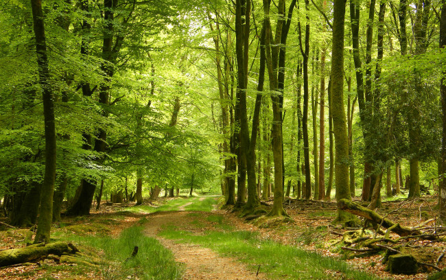 Обои картинки фото природа, дороги, простор