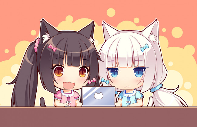 Обои картинки фото аниме, nekopara, некопара