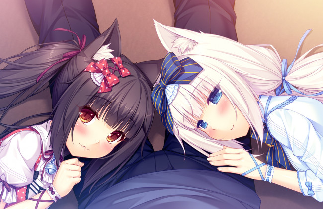 Обои картинки фото аниме, nekopara, нэкопара