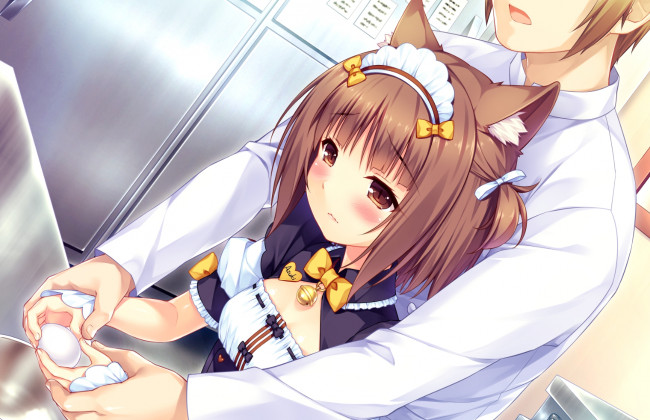 Обои картинки фото аниме, nekopara, некопара