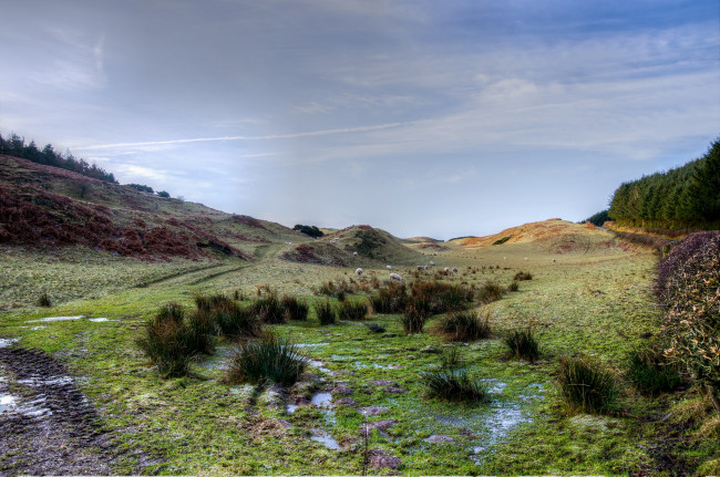 Обои картинки фото природа, пейзажи, простор