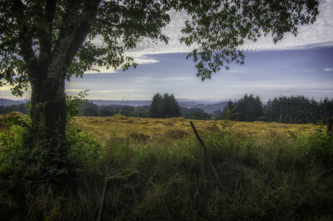 Обои картинки фото природа, пейзажи, простор