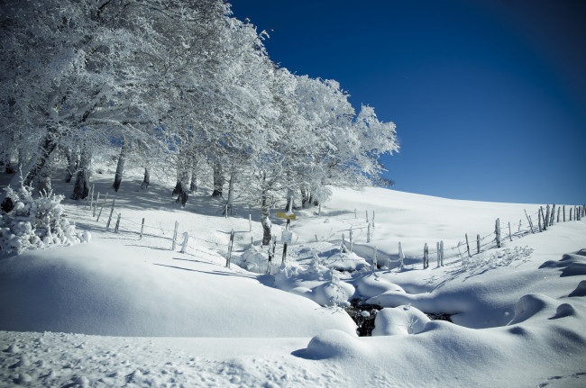 Обои картинки фото природа, зима, простор