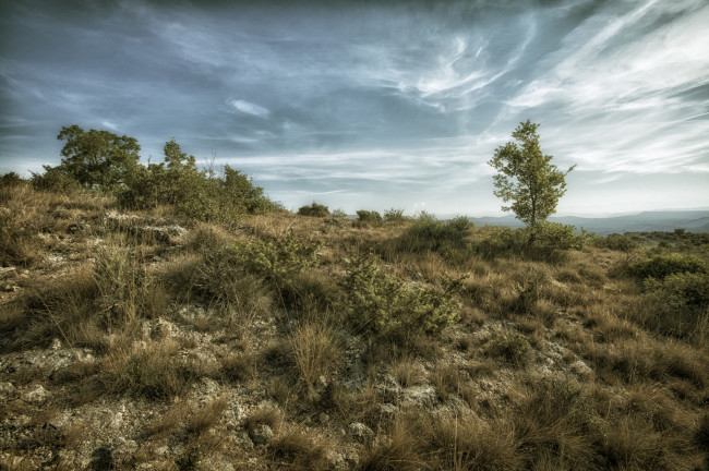 Обои картинки фото природа, пейзажи, простор