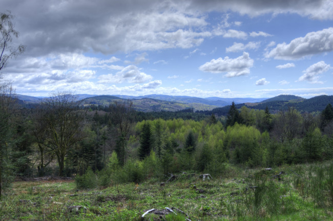 Обои картинки фото природа, пейзажи, простор