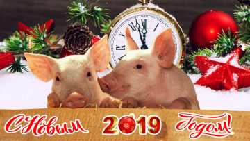 Картинка праздничные -+разное+ новый+год фон елка поросята
