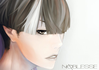 Картинка аниме noblesse дворянство