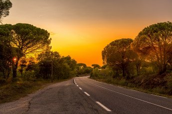 Картинка природа дороги шоссе