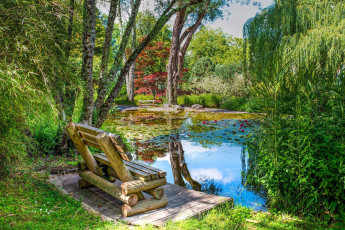 Картинка природа парк пруд скамейка